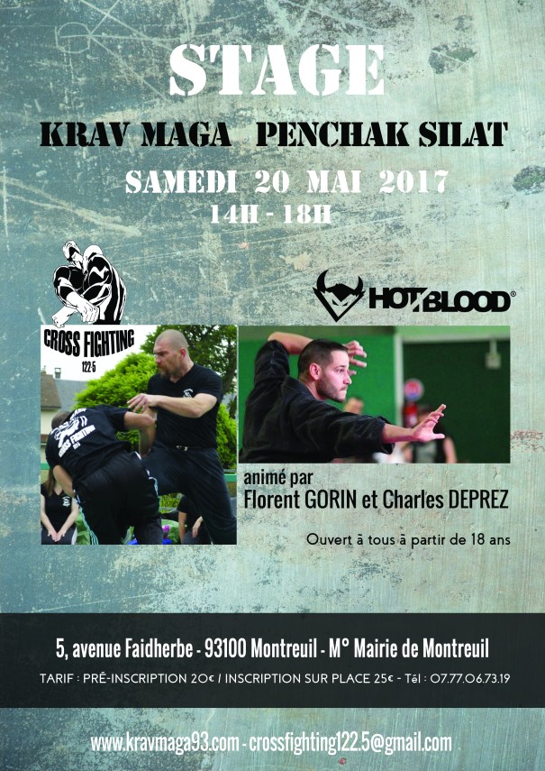 stage krav-silat mai 2017.jpg
